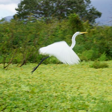 Hostal Y Restaurante Rancho Merida ภายนอก รูปภาพ