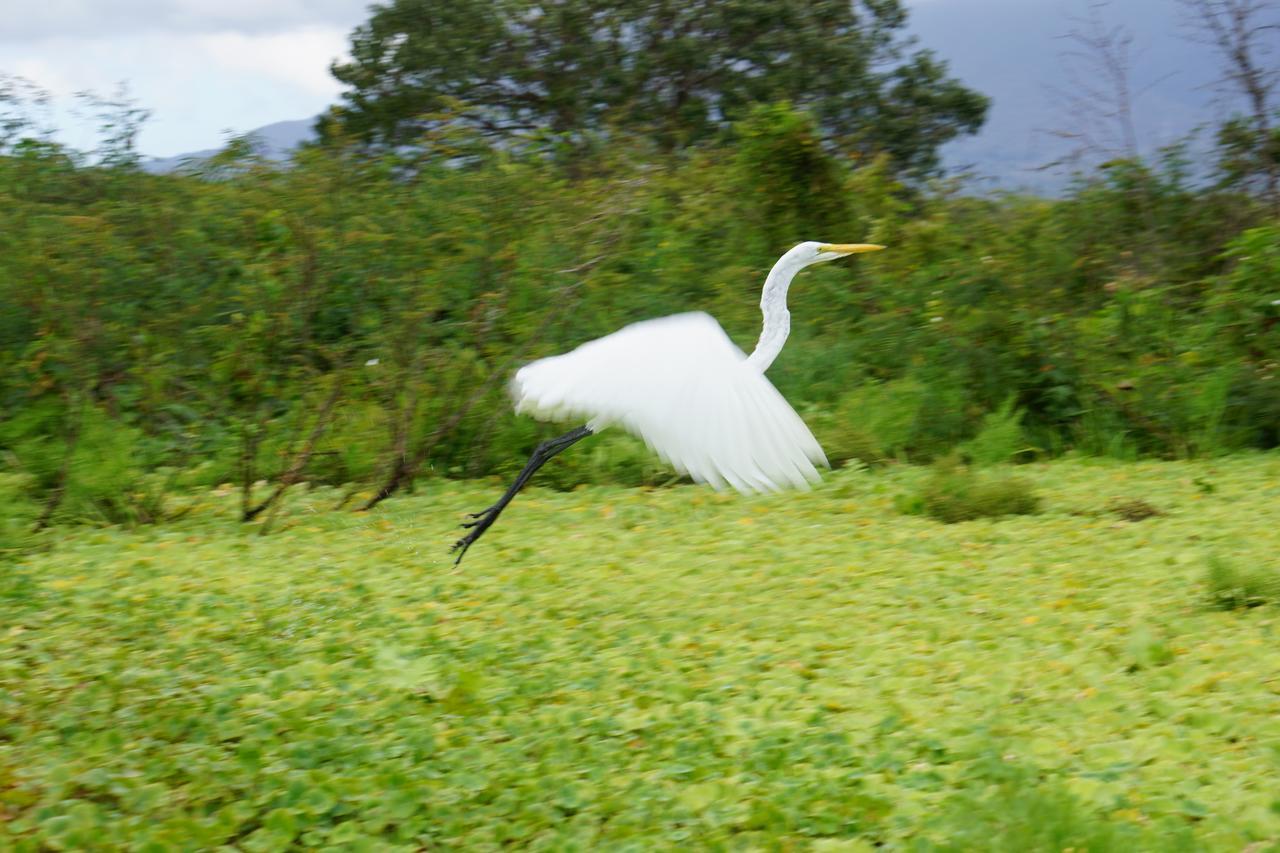 Hostal Y Restaurante Rancho Merida ภายนอก รูปภาพ